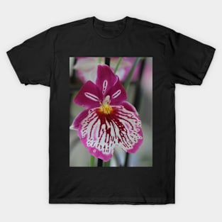 Orchid my Love T-Shirt